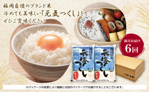 無洗米 福岡県産・元気つくし10kg定期便(隔月・年6回)