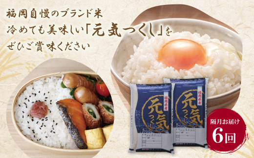 研ぐお米 福岡県産・元気つくし10kg定期便(隔月・年6回)