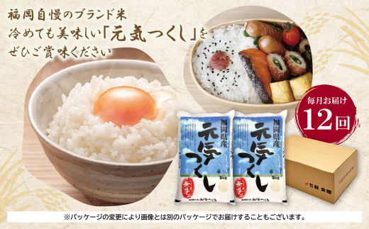 無洗米 福岡県産・元気つくし10kg定期便(毎月・年12回)