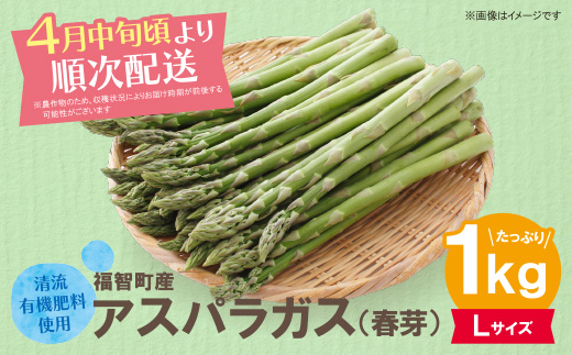清流・自然栽培 アスパラガス(春芽) 1kg(L) Lサイズ