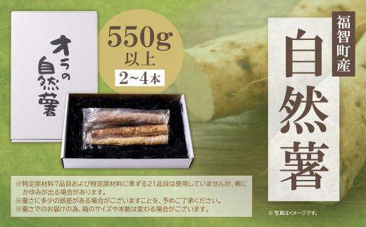 オラの自然薯(カットもの 550g以上）