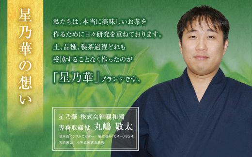  八女星野【訳あり】深蒸し茶1100g