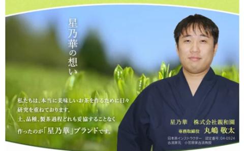 八女星野 深蒸し茶(6本詰め)