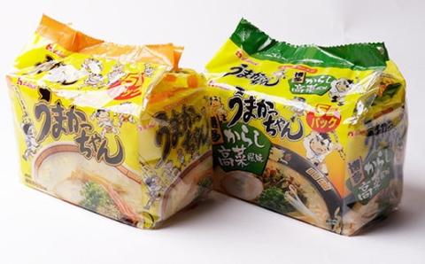 【7営業日以内発送】うまかっちゃん 博多からし高菜風味食べ比べセット（5食×2）計10食