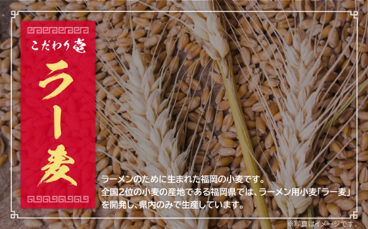 博多とんこつラーメン5食（ラー麦使用）