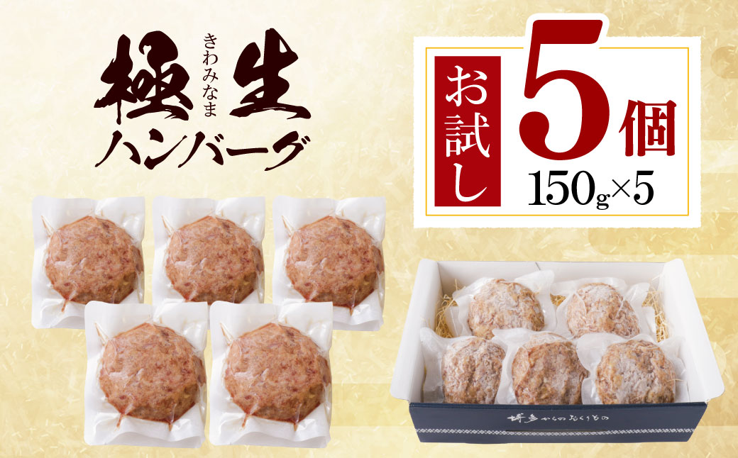 極生ハンバーグ 5個セット(150g×5)  5個