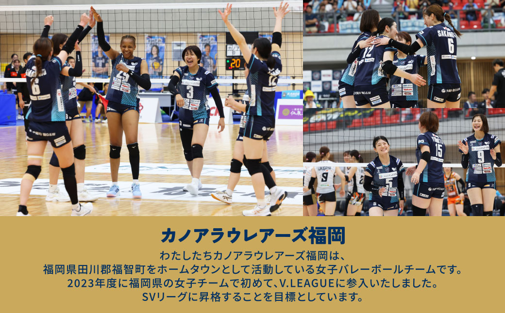 カノアラウレアーズ福岡 オーセンティックユニフォーム（黄緑) ★限定色★黄緑