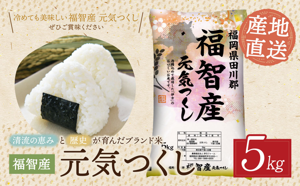 福智町産ブランド米(元気つくし 5kg) お米 米 こめ コメ ブランド米 白米 人気 おすすめ 元気つくし げんきつくし 福岡県産米 食料品 日常 福岡県