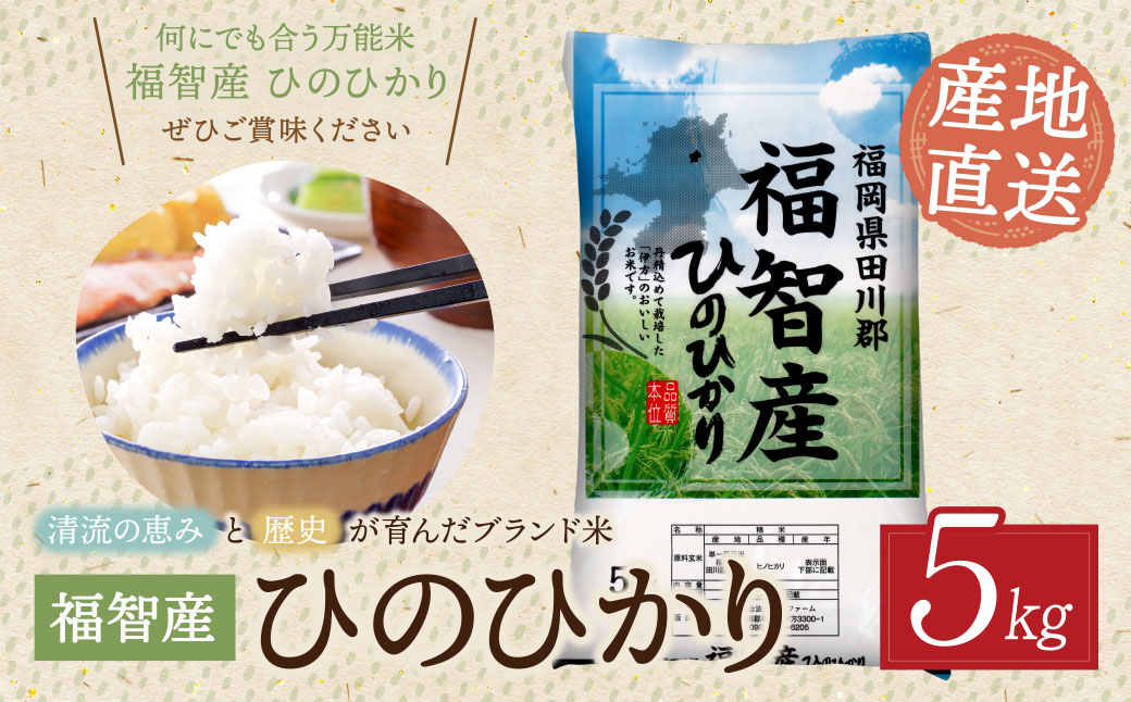 福智町産ブランド米(ヒノヒカリ 5kg)  お米 米 こめ コメ ブランド米 白米 人気 おすすめ ヒノヒカリ ひのひかり 福岡県産米 食料品 日常 福岡県 
