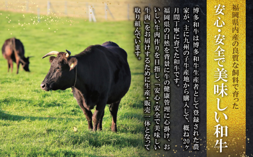 博多和牛 肩ロース焼肉用・スライス各400g