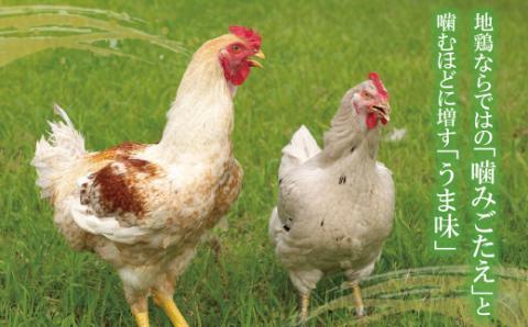 はかた地どり 炭火焼1kg