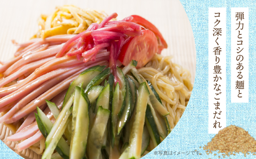 《先行予約》【4～8月発送】福岡県産ラー麦　冷し中華（ごまだれ付）