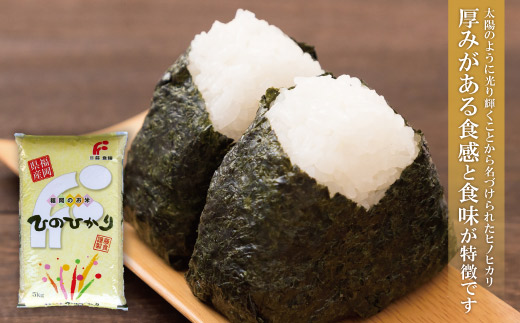 研ぐお米 福岡ブランド米3品種セット(各5kg) 精米 米 コメ 5kg×3 品種 いろいろ 3種 15kg 箱入り 福岡 夢つくし ひのひかり 元気つくし 元気づくし お裾分け セット 手軽 リピート 日時指定 ギフト お中元 お歳暮	