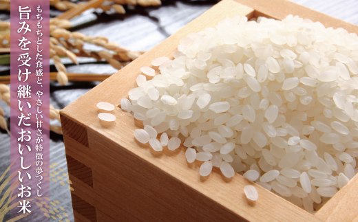 令和7年産 無洗米 福岡県産・夢つくし25kg 無洗米 むせんまい 米 コメ 25kg キャンプ 研がなくていい 5kg×5 TWR 25キロ 箱入り 手間なし カンタン 簡単 福岡 夢つくし ゆめつくし 手軽 リピート 日時指定 ギフト お中元 お歳暮 手にやさしい 時短 コスパ 福岡県限定銘柄 人気	