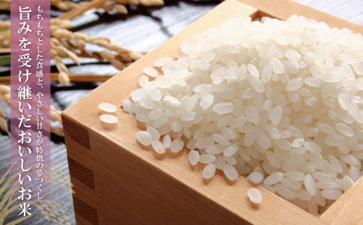 【新米】令和7年産 無洗米 夢つくし2kg