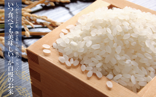 【新米】令和7年産 研ぐお米 元気つくし2kg