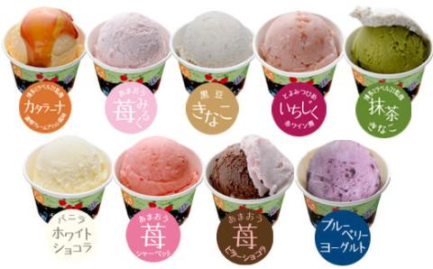 ふくち☆ﾘｯﾁｼﾞｪﾗｰﾄ ﾐﾄﾞﾙ（9個ｾｯﾄ）