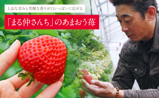 アルギット農業「あまおう苺」(2パック)