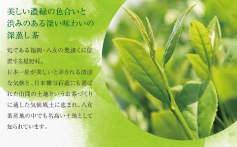 八女星野 深蒸し茶(3本詰め)