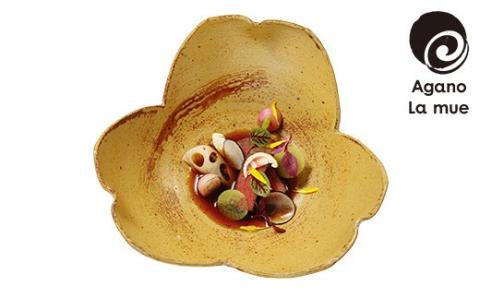 【アガノ・ラミュ】ワリザンショウ