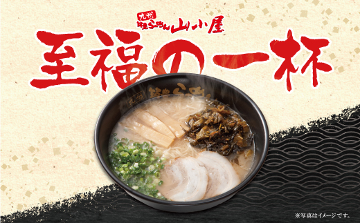 筑豊豚骨らーめん 焼豚高菜生ラーメンWチャーシューとんこつ8食セット