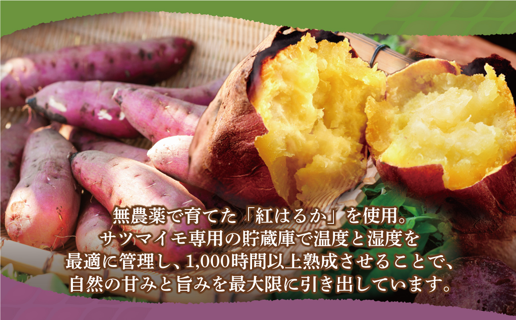 皮つき干し芋 100g 博多若杉 訳あり 干し芋 紅はるか サツマイモ 常温 さつまいも スイーツ 和菓子 小分け 個包装 福智 手軽 送料無