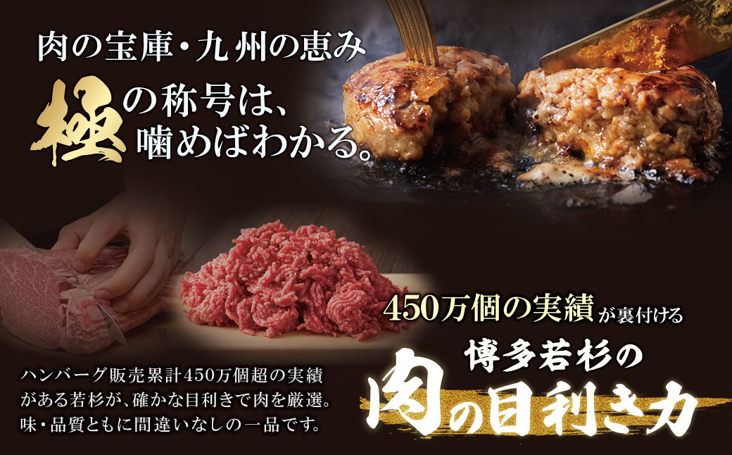 極生ハンバーグ 9個セット(150g×9)  9個