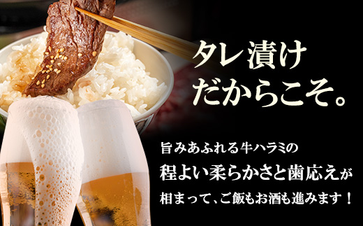 【訳あり】  牛ハラミ肉2種（旨辛ダレ・ねぎ塩） 600g