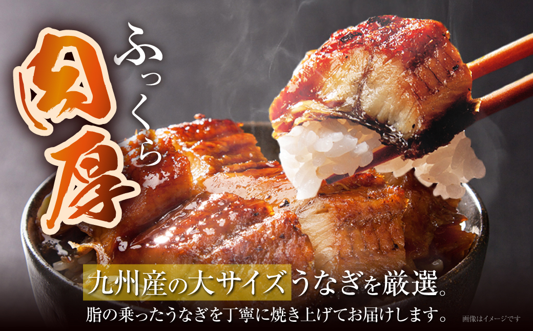 国産 うなぎ 丑の日 ギフト 贈答 人気 有頭 食べ方 送料無料