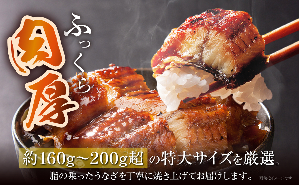 国産 うなぎ 丑の日 ギフト 贈答 人気 有頭 食べ方 送料無料