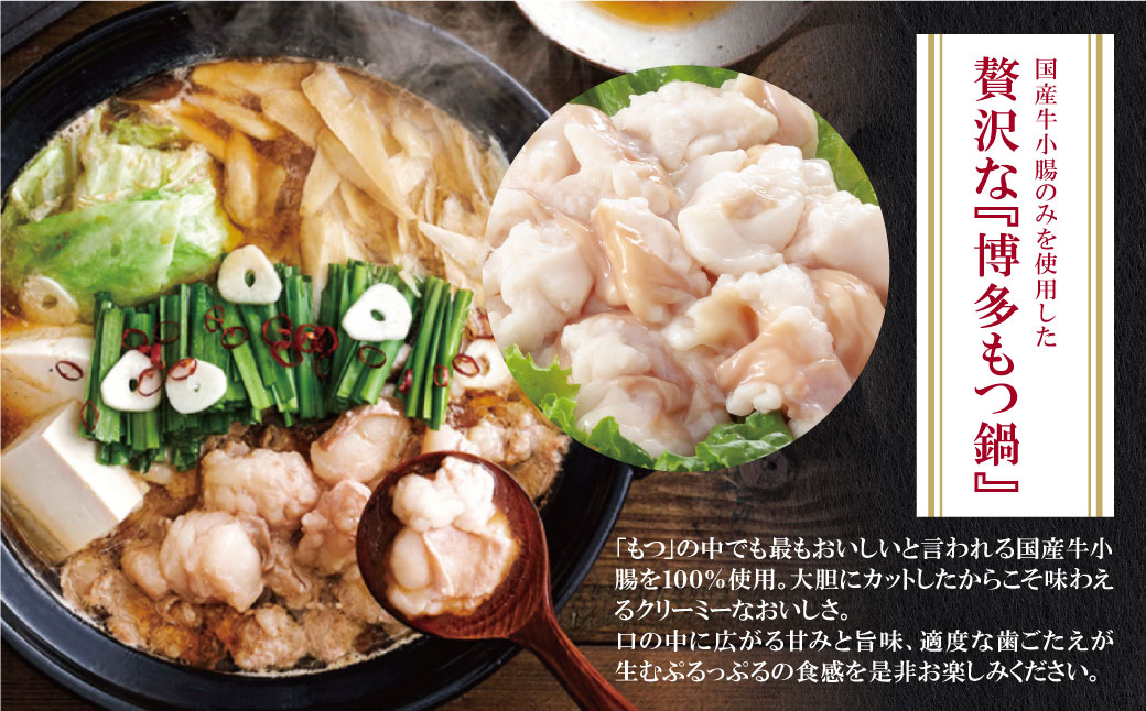 やまや 博多もつ鍋食べ比べセット(醤油・味噌)各3～4人前