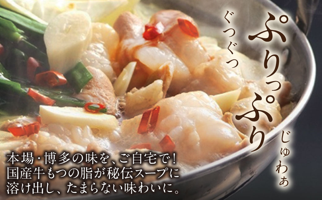 博多特選もつ鍋（2.5人前)（醤油味）