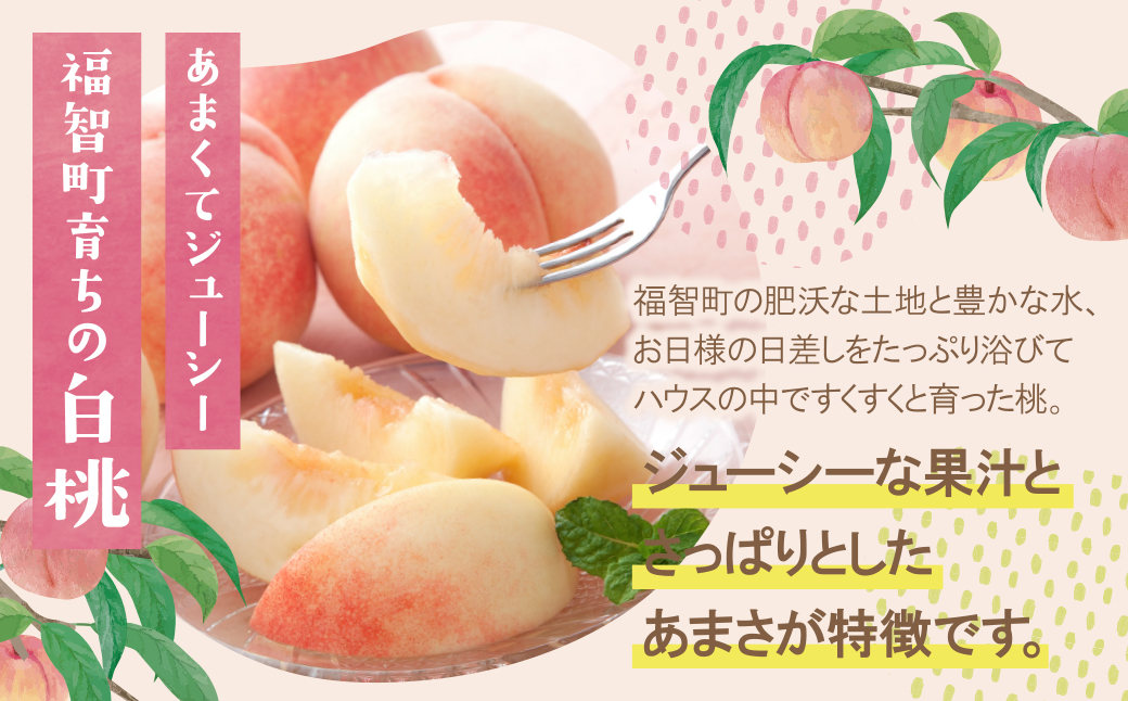 ★先行予約受付開始★ ふくふく果実定期便（隔月・年2回） 2026年発送 いちじく イチジク とよみつひめ もも 桃 モモ さくひめ フルーツ 果物 定期便 福岡県産 福智町産 送料無料