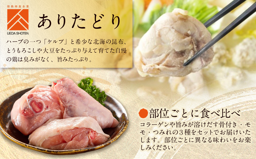 上田商店 ありた鶏水炊きセット（2～3人前） 2~3人前