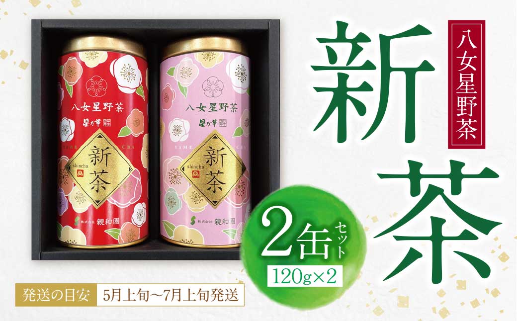  【母の日】新茶 八女星野茶 120g×2本