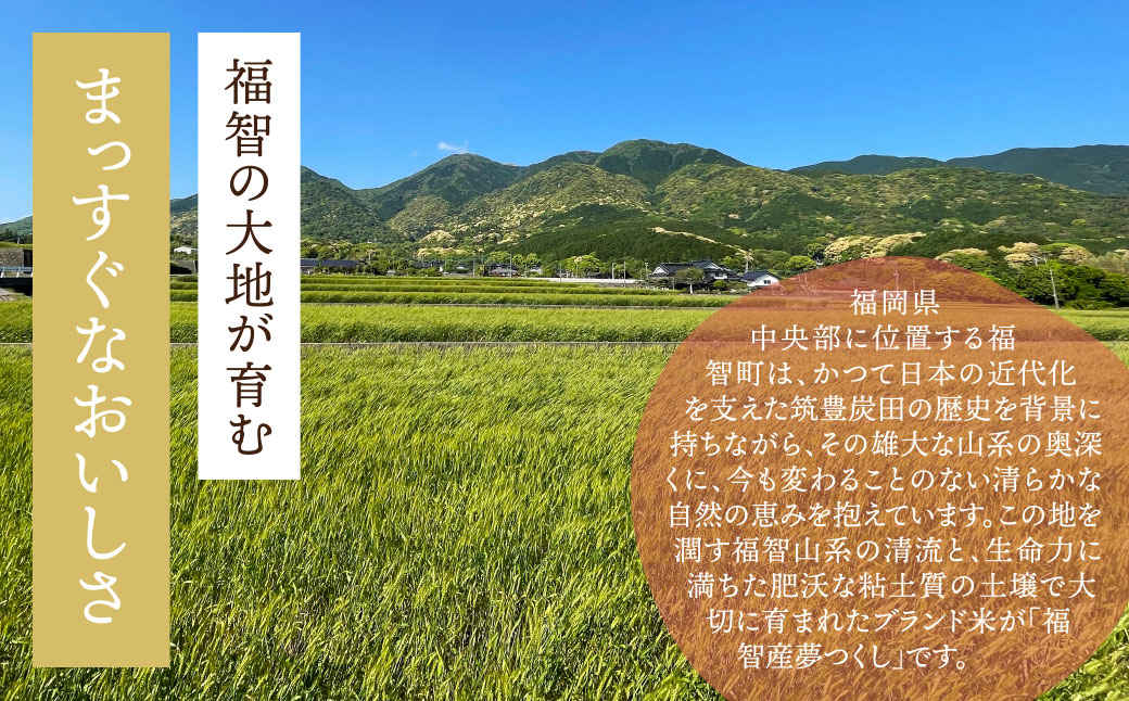 福智町産ブランド米(夢つくし5kg)  お米 米 こめ コメ ブランド米 白米 人気 おすすめ 夢つくし ゆめつくし 福岡県産米 食料品 日常 福岡県 
