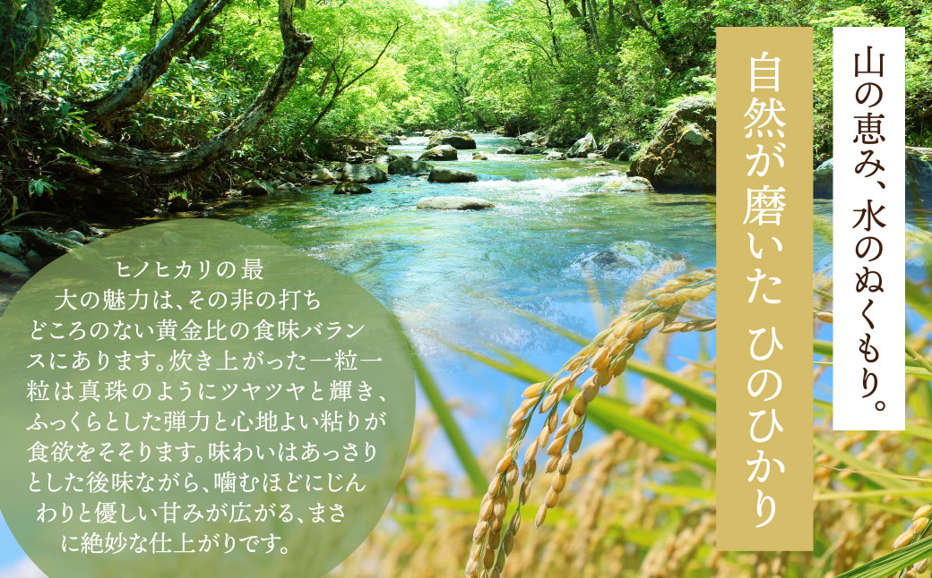 福智町産ブランド米(ヒノヒカリ 5kg)  お米 米 こめ コメ ブランド米 白米 人気 おすすめ ヒノヒカリ ひのひかり 福岡県産米 食料品 日常 福岡県 