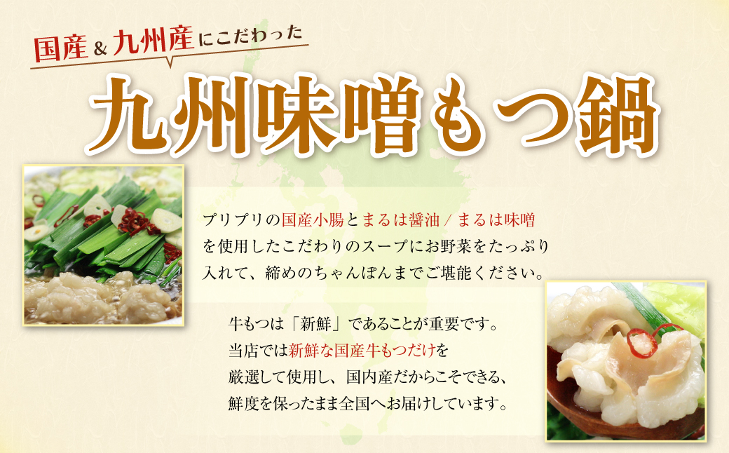 おどろきっちん 博多もつ鍋セット(九州味噌仕立て)国産牛もつ600g 4～6人前 4~6人前・味噌