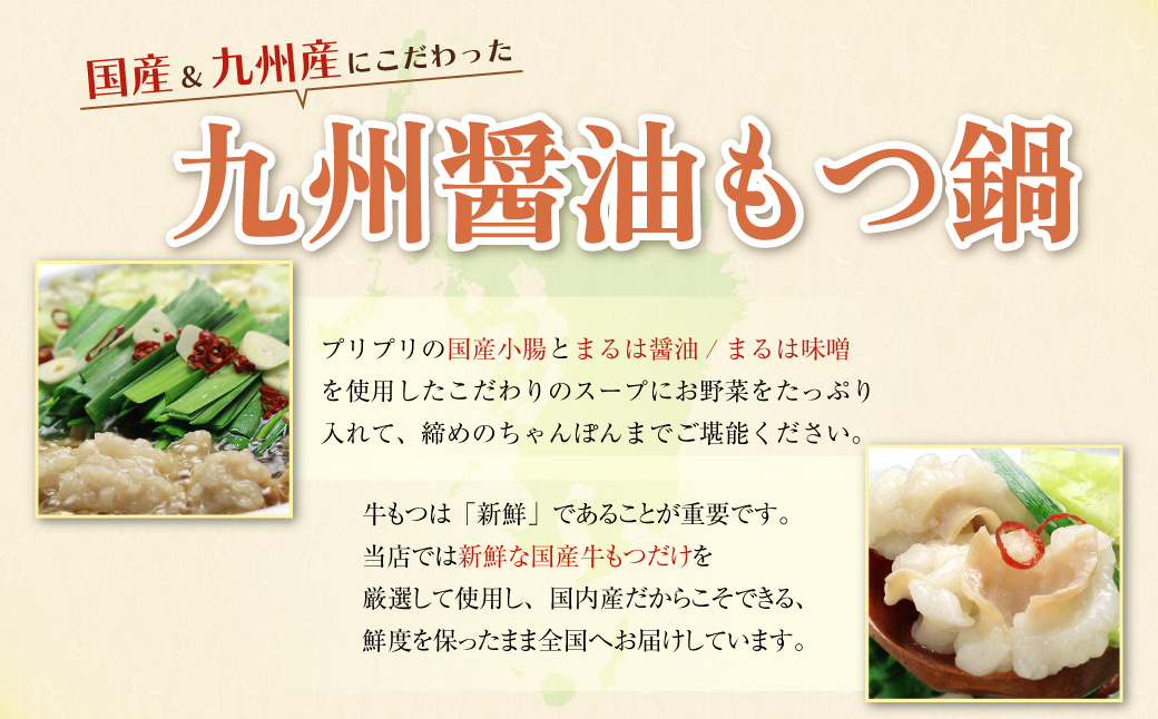 おどろきっちん 【訳あり】もつ鍋(醤油)10人前 訳あり10人前・醤油