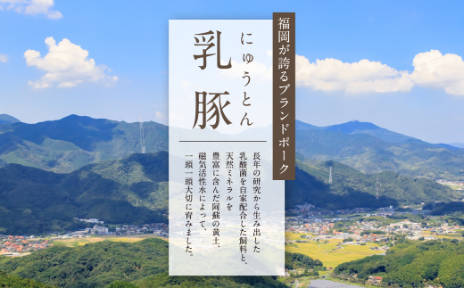 乳豚まんぞくセット(切り落とし･ミンチ計2kg)