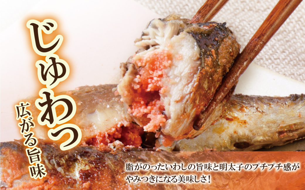 いわし明太 6尾 6尾：10,500円