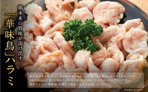 博多華味鳥 もつ鍋セット 醤油味(3～4人前) もつ鍋 有名店 老舗 料亭の味 福岡 冷凍 通常発送