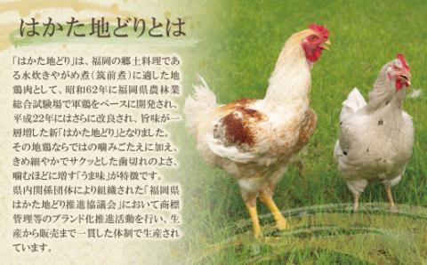 はかた地どり 炭火焼・水炊き定期便(隔月・年6回)