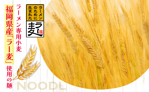 福岡県産ラー麦　とまとらーめん　120ｇ×8入（スープ付）