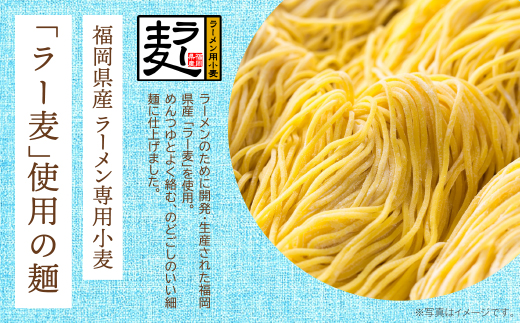 《先行予約》【4～8月発送】福岡県産ラー麦　冷し中華（坦々スープ付）