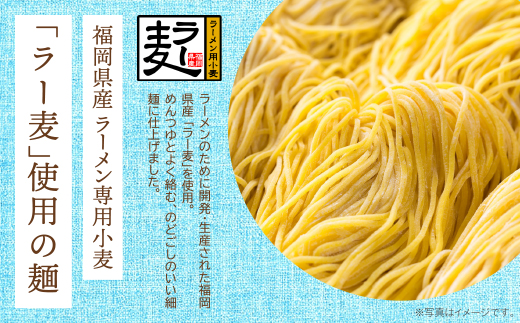 《先行予約》【4～8月発送】福岡県産ラー麦　冷し中華（ごまだれ付）