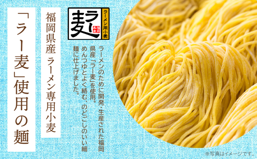 《先行予約》【4～8月発送】福岡県産ラー麦　冷し中華セット