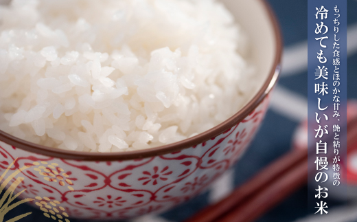 【新米】令和7年産 研ぐお米 元気つくし2kg