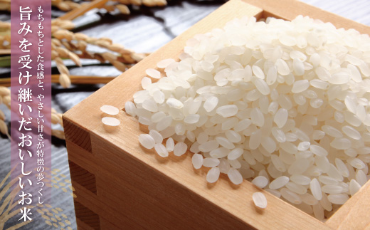 無洗米 福岡県産・夢つくし10kg定期便(隔月・年6回)