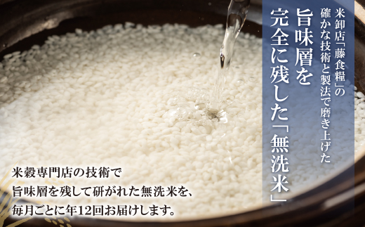 無洗米 福岡県産・元気つくし10kg定期便(毎月・年12回)